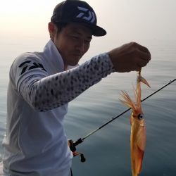 ソルトウォーターガイドフレンズ 釣果