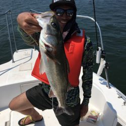 うさぎ丸 釣果