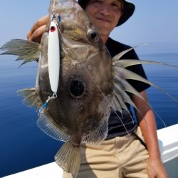 アマテラス 釣果