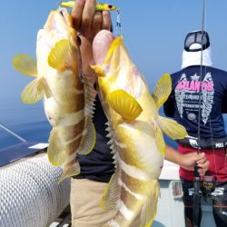 アマテラス 釣果