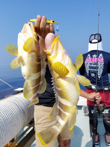 アマテラス 釣果