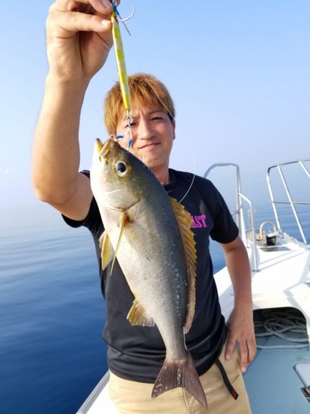 アマテラス 釣果