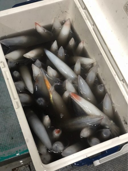 ＴＡＲＯＭＡＲＵ 釣果