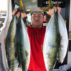 ビッグファイター 釣果