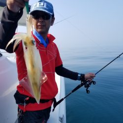 ソルトウォーターガイドフレンズ 釣果