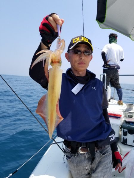 ソルトウォーターガイドフレンズ 釣果