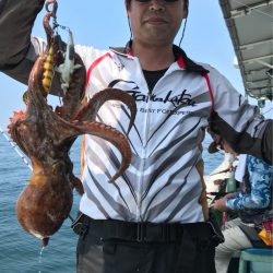 ヤザワ渡船 釣果