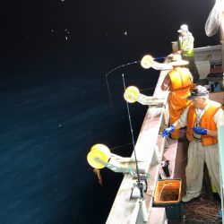 シーランチ 釣果