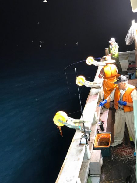 シーランチ 釣果