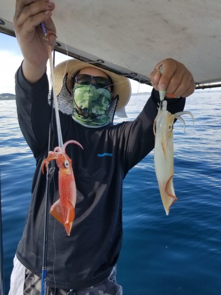 ソルトウォーターガイドフレンズ 釣果