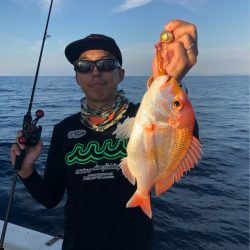 あみや渡船 JIGBOY 釣果