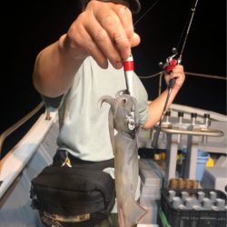 ＴＡＲＯＭＡＲＵ 釣果