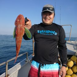 ありもと丸 釣果