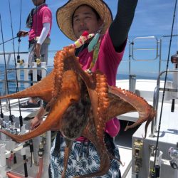 ビッグファイター 釣果