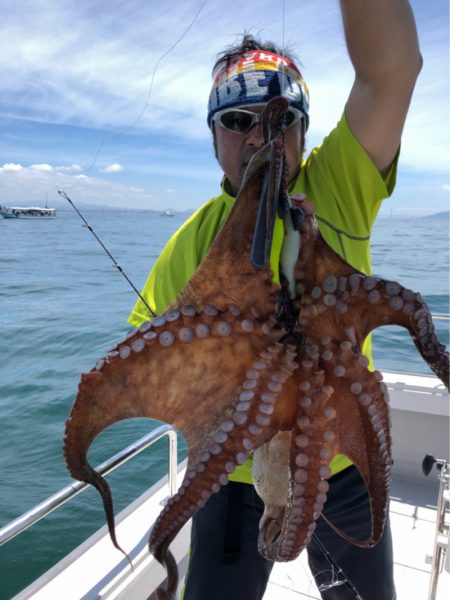 ビッグファイター 釣果