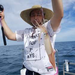 ソルトウォーターガイドフレンズ 釣果