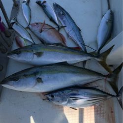 Monster Rush! 釣果