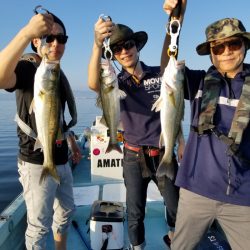 アマテラス 釣果