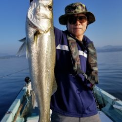 アマテラス 釣果