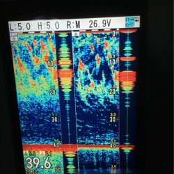 海楽隊 華栞丸 釣果