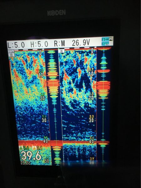 海楽隊 華栞丸 釣果