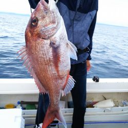 ブルドック 釣果