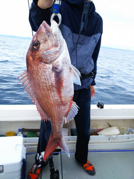 ブルドック 釣果