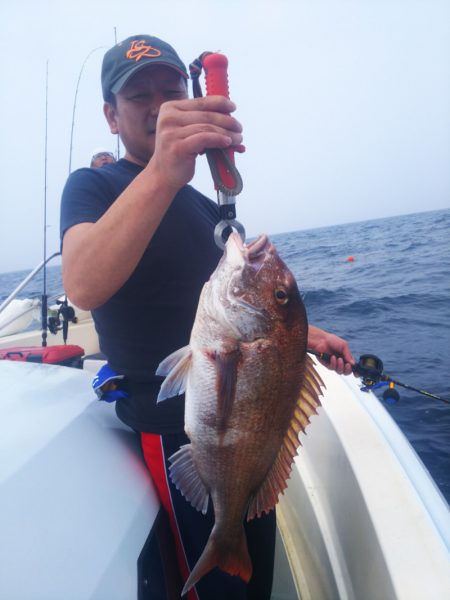 ブルドック 釣果