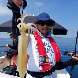 ソルトウォーターガイドフレンズ 釣果