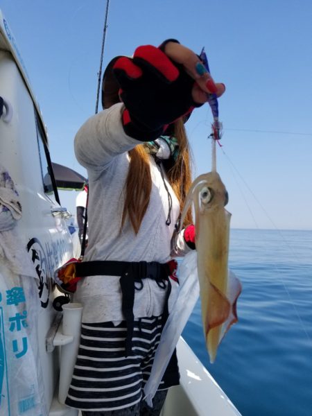 ソルトウォーターガイドフレンズ 釣果