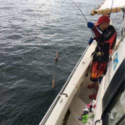 末広丸(熊本) 釣果