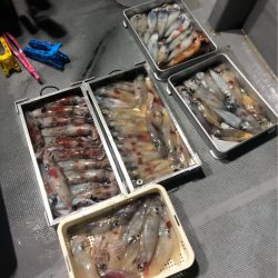 ＴＡＲＯＭＡＲＵ 釣果