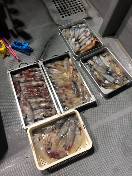 ＴＡＲＯＭＡＲＵ 釣果