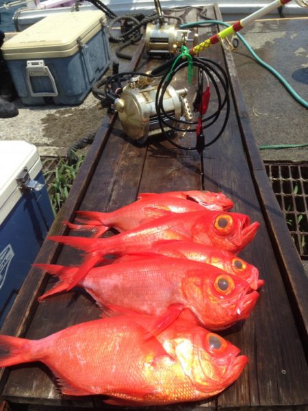 晃山丸 釣果