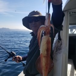 ソルトウォーターガイドフレンズ 釣果