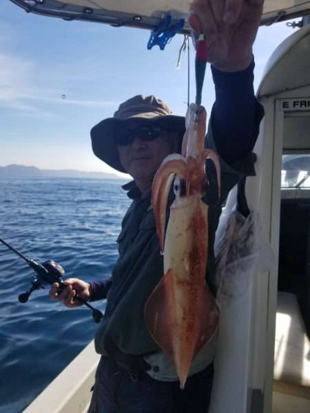 ソルトウォーターガイドフレンズ 釣果