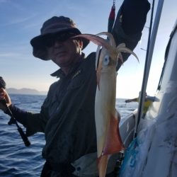 ソルトウォーターガイドフレンズ 釣果