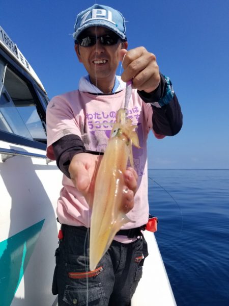 ソルトウォーターガイドフレンズ 釣果