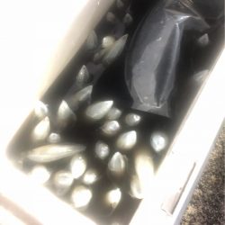 ＴＡＲＯＭＡＲＵ 釣果