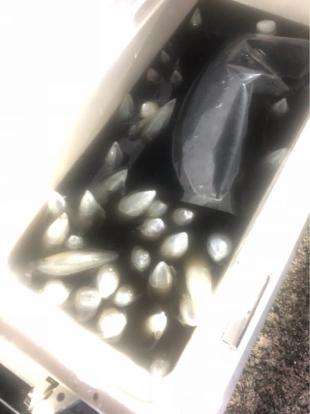 ＴＡＲＯＭＡＲＵ 釣果