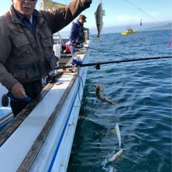 第二 つれたか丸 釣果