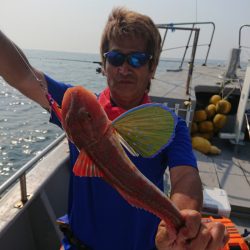 ありもと丸 釣果