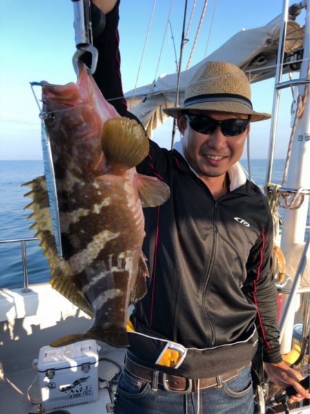 ビッグファイター 釣果