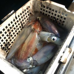 ＴＡＲＯＭＡＲＵ 釣果