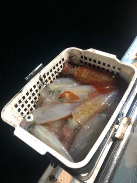 ＴＡＲＯＭＡＲＵ 釣果