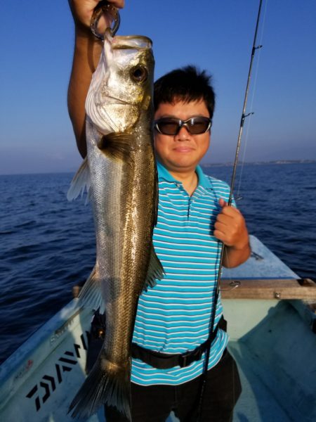 アマテラス 釣果