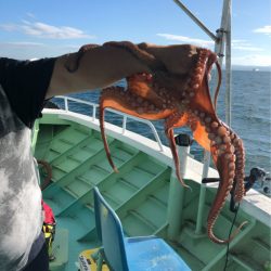 ヤザワ渡船 釣果