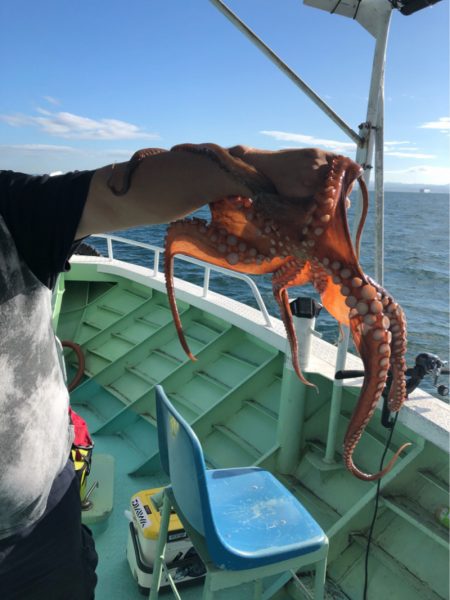 ヤザワ渡船 釣果