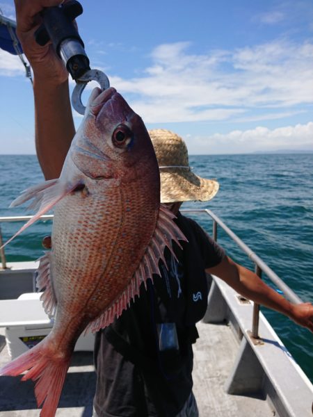 ありもと丸 釣果