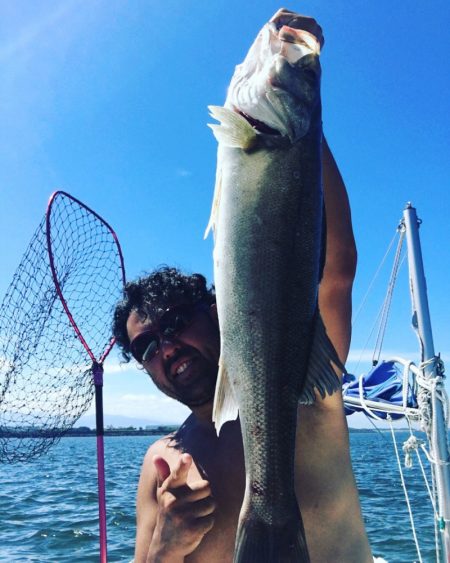 うさぎ丸 釣果